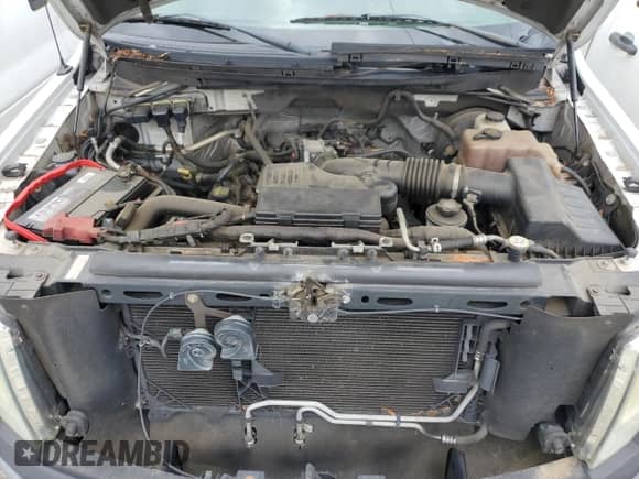 2010 Ford F-150 XL z VIN 1FTMF1CW1AKA46643, wystawiony jako Copart lot #54370785 z przebiegiem 141 766 mil mil oraz Czysty tytuł • Clean title. Historia ofert i sprzedaży dostępna na DreamBid. Obrazek 11.