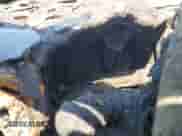 2024 Lexus IS 350 F Sport z VIN JTHBZ1E21R5037572, wystawiony jako Copart lot #56075055 z przebiegiem Nie podano mil oraz Szkoda całkowita • Salvage title. Historia ofert i sprzedaży dostępna na DreamBid. Obrazek 9.