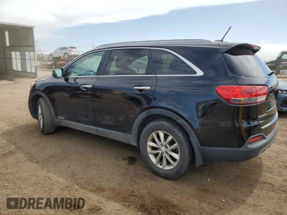 2017 Kia Sorento LX with VIN 5XYPGDA5XHG225124, listed as a Copart auction lot 53211245 with 141,244 mi miles and Clean title. Bid and sale history available at DreamBid. Image 2.