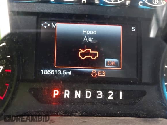 2016 Ford F-150 XL z VIN 1FTEX1C80GFA75359, wystawiony jako IAAI lot #43498541 z przebiegiem 186 613 mil mil oraz . Historia ofert i sprzedaży dostępna na DreamBid. Obrazek 7.