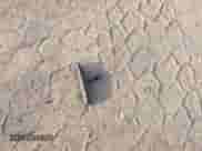 2007 Ford F-150 STX with VIN 1FTRX12W57KA53950, listed as a IAAI auction lot 43133792 with 222,285 mi miles and . Bid and sale history available at DreamBid. Image 12.