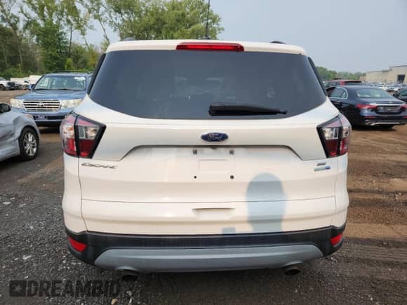 2017 Ford Escape SE with VIN 1FMCU9GD5HUC92016, listed as a Copart auction lot 67679345 with 123,992 mi miles and Clean title. Bid and sale history available at DreamBid. Image 6.