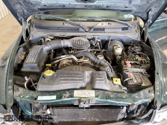 2000 Dodge Dakota with VIN 1B7GL22X1YS563179, listed as a Copart auction lot 60956035 with 221,795 mi miles and Salvage title. Bid and sale history available at DreamBid. Image 11.