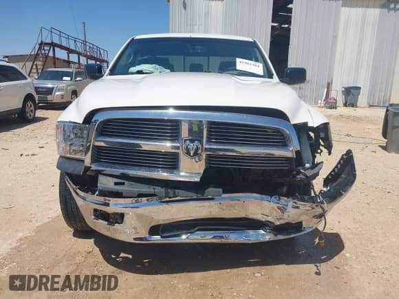 2009 Dodge 1500 Sport with VIN 1D3HB13T19S704306, listed as a IAAI auction lot 41981304 with 290,946 mi miles and . Bid and sale history available at DreamBid. Image 13.