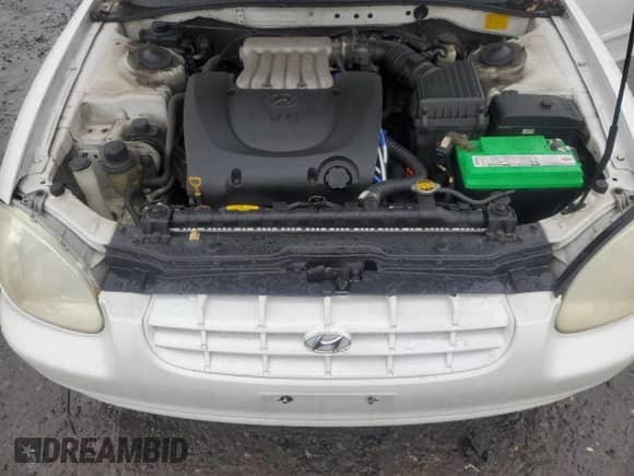 1999 Hyundai Sonata GLS z VIN KMHWF35VXXA049804, wystawiony jako Copart lot #44175995 z przebiegiem 123 322 mil mil oraz Szkoda całkowita • Salvage title. Historia ofert i sprzedaży dostępna na DreamBid. Obrazek 11.