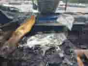 2015 Hyundai Tucson Limited z VIN KM8JUCAG1FU971110, wystawiony jako IAAI lot #40422742 z przebiegiem Nie podano mil oraz . Historia ofert i sprzedaży dostępna na DreamBid. Obrazek 7.