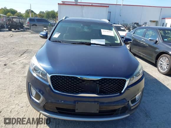2016 Kia Sorento EX with VIN 5XYPH4A17GG029893, listed as a IAAI auction lot 43178157 with Not provided miles and . Bid and sale history available at DreamBid. Image 11.