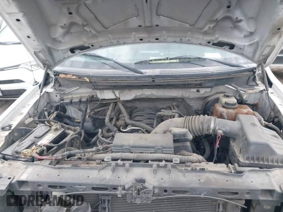 2013 Ford F-150 XL with VIN 1FTFX1CF8DFA73860, listed as a IAAI auction lot 42571498 with 185,589 mi miles and . Bid and sale history available at DreamBid. Image 10.