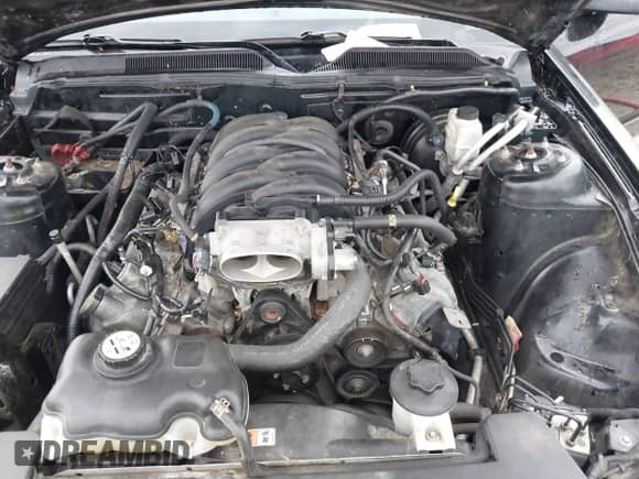 2009 Ford Mustang GT с VIN 1ZVHT82H195127431, выставлен на аукционе IAAI как лот 41575609 с пробегом 142 977 миль миль и . История ставок и продаж доступна на DreamBid. Изображение 10.