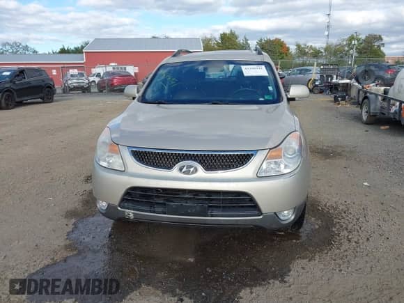 2008 Hyundai Veracruz GLS z VIN KM8NU13CX8U041001, wystawiony jako IAAI lot #43396941 z przebiegiem 102 706 mil mil oraz . Historia ofert i sprzedaży dostępna na DreamBid. Obrazek 12.