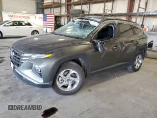 2022 Hyundai Tucson SEL z VIN 5NMJBCAE8NH139794, wystawiony jako Copart lot #80824215 z przebiegiem 109 277 mil mil oraz Szkoda całkowita • Salvage title. Historia ofert i sprzedaży dostępna na DreamBid. Obrazek 1.
