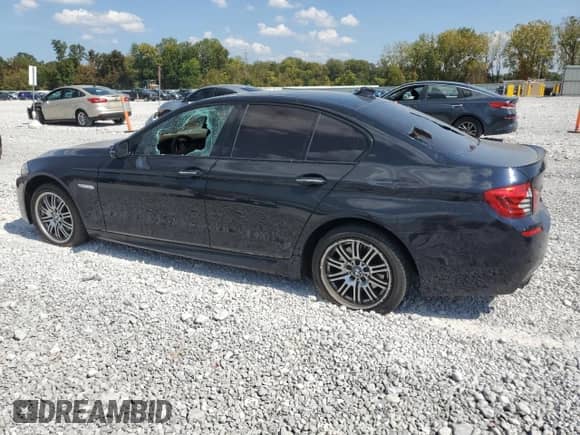 2014 BMW 5 Series 528i xDrive with VIN WBA5A7C59ED614707, listed as a Copart auction lot 80464835 with Not provided miles and Salvage title. Bid and sale history available at DreamBid. Image 2.