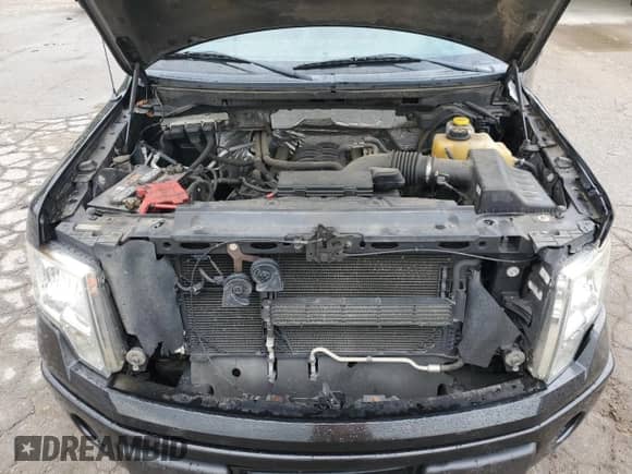 2014 Ford F-150 STX z VIN 1FTFX1EF5EFC90202, wystawiony jako Copart lot #84009215 z przebiegiem 143 742 mil mil oraz Szkoda całkowita • Salvage title. Historia ofert i sprzedaży dostępna na DreamBid. Obrazek 11.