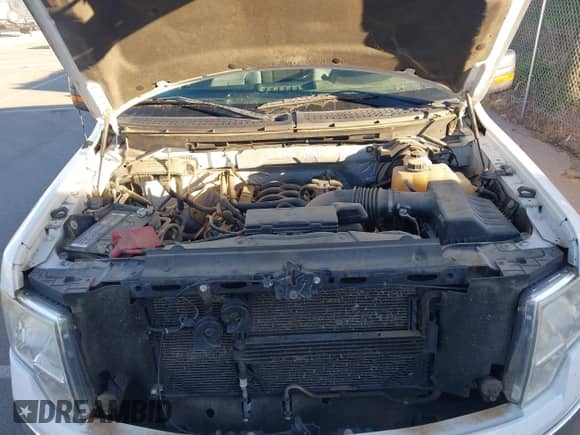 2012 Ford F-150 XL z VIN 1FTFW1EF9CFB26662, wystawiony jako IAAI lot #43477531 z przebiegiem 186 497 mil mil oraz . Historia ofert i sprzedaży dostępna na DreamBid. Obrazek 10.