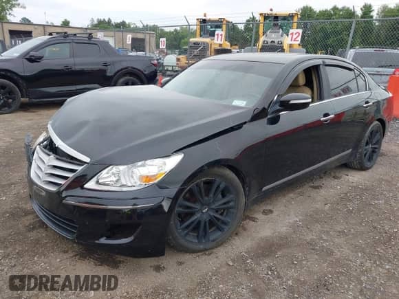 2009 Hyundai Genesis with VIN KMHGC46F69U064909, listed as a IAAI auction lot 42606984 with 91,576 mi miles and . Bid and sale history available at DreamBid. Image 16.