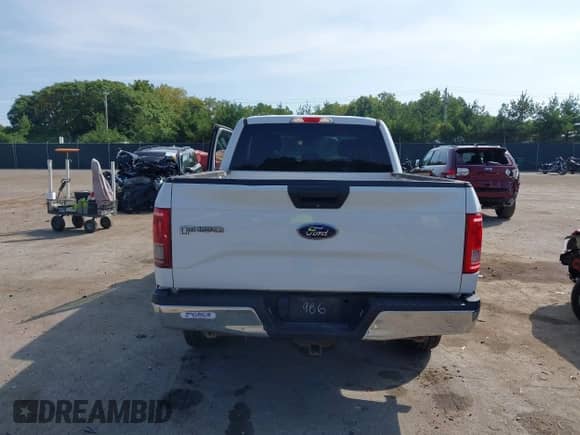 2017 Ford F-150 XL with VIN 1FTEX1E85HFA13986, listed as a IAAI auction lot 43231920 with 188,338 mi miles and . Bid and sale history available at DreamBid. Image 16.