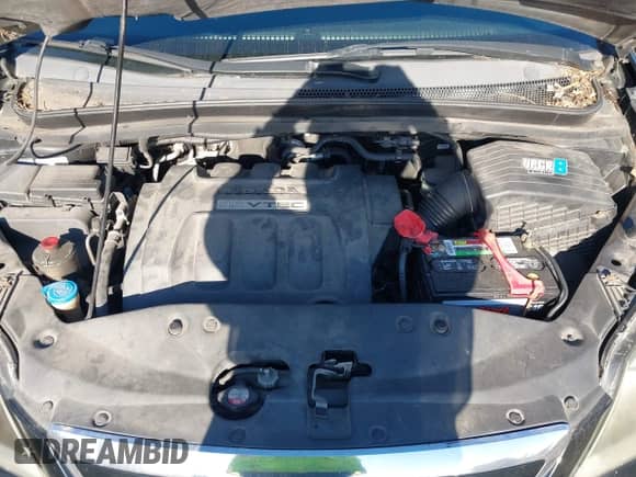 2006 Honda Odyssey Touring with VIN 5FNRL38896B018131, listed as a IAAI auction lot 43301389 with 312,984 mi miles and . Bid and sale history available at DreamBid. Image 10.