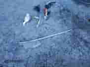 2016 Hyundai Azera Limited с VIN KMHFH4JG3GA559791, выставлен на аукционе Copart как лот 83408684 с пробегом 87 329 миль миль и Списание • Salvage title. История ставок и продаж доступна на DreamBid. Изображение 12.