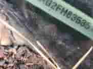 2015 Dodge Challenger SXT с VIN 2C3CDZAG2FH835351, выставлен на аукционе Copart как лот 90256695 с пробегом 206 243 миль миль и Чистый • Clean title. История ставок и продаж доступна на DreamBid. Изображение 12.