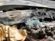 2019 Chevrolet Silverado 3500HD LTZ с VIN 1GC4KXEY6KF189594, выставлен на аукционе Copart как лот 62936734 с пробегом Не указан миль и Списание • Salvage title. История ставок и продаж доступна на DreamBid. Изображение 9.