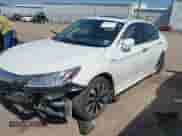 2017 Honda Accord Touring with VIN JHMCR6F79HC024994, listed as a IAAI auction lot 43128999 with Not provided miles and . Bid and sale history available at DreamBid. Image 2.