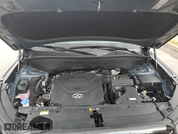 2024 Hyundai Palisade XRT with VIN KM8R3DGE8RU678519, listed as a Copart auction lot 64487845 with 20,091 mi miles and Clean title. Bid and sale history available at DreamBid. Image 12.