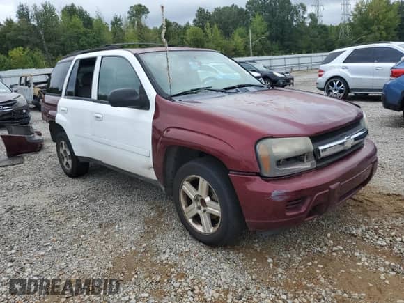 2004 Chevrolet TrailBlazer LS z VIN 1GNDS13S842317377, wystawiony jako Copart lot #82035225 z przebiegiem 261 074 mil mil oraz Czysty tytuł • Clean title. Historia ofert i sprzedaży dostępna na DreamBid. Obrazek 4.