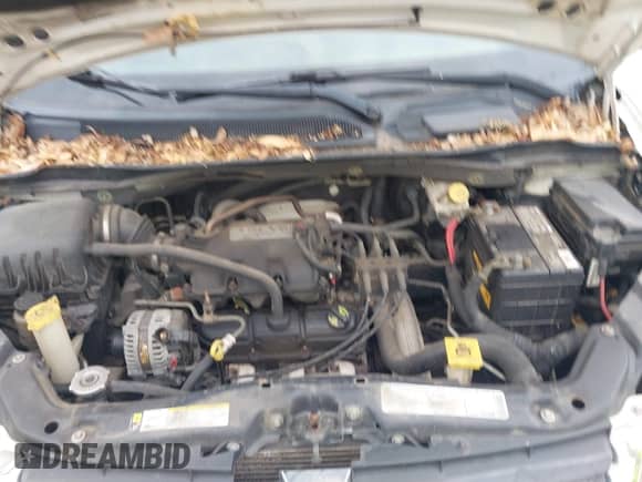 2010 Dodge Grand Caravan SXT with VIN 2D4RN5D16AR342815, listed as a IAAI auction lot 43043040 with 302,074 mi miles and . Bid and sale history available at DreamBid. Image 10.