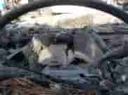 2014 Chevrolet Silverado 1500 Work Truck с VIN 1GCNCPEH9EZ384111, выставлен на аукционе IAAI как лот 42036508 с пробегом Не указан миль и . История ставок и продаж доступна на DreamBid. Изображение 7.