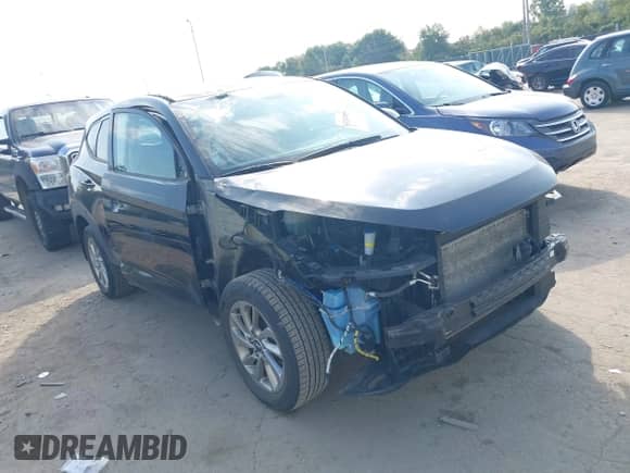 2017 Hyundai Tucson SE с VIN KM8J33A4XHU427152, выставлен на аукционе IAAI как лот 43267055 с пробегом 115 192 миль миль и . История ставок и продаж доступна на DreamBid. Изображение 1.