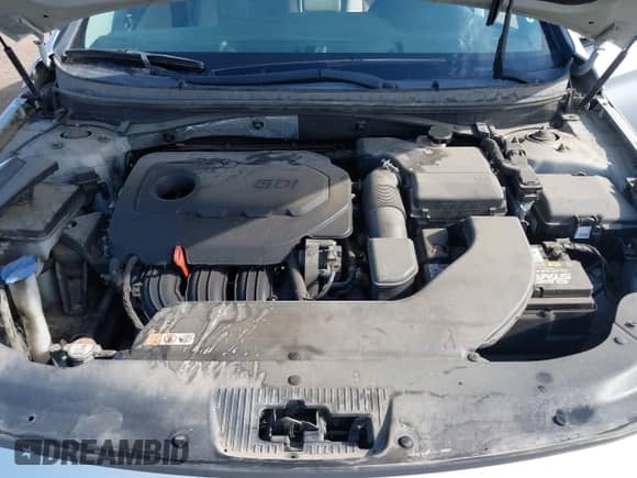 2016 Hyundai Sonata SE z VIN 5NPE24AF9GH400307, wystawiony jako IAAI lot #42379197 z przebiegiem 135 168 mil mil oraz . Historia ofert i sprzedaży dostępna na DreamBid. Obrazek 10.