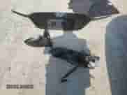 2019 Hyundai Ioniq с VIN KMHC65LD9KU151479, выставлен на аукционе Copart как лот 59681614 с пробегом 54 785 миль миль и Списание • Salvage title. История ставок и продаж доступна на DreamBid. Изображение 12.