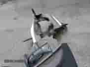 2025 Subaru Forester Premium z VIN JF2SLDBC7SH414560, wystawiony jako Copart lot #85910835 z przebiegiem 6 221 mil mil oraz Szkoda całkowita • Salvage title. Historia ofert i sprzedaży dostępna na DreamBid. Obrazek 13.