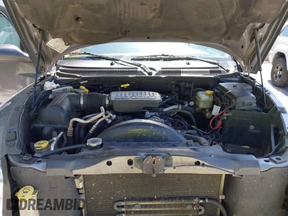 2005 Dodge Dakota SLT with VIN 1D7HE48N65S365506, listed as a IAAI auction lot 42588692 with 156,199 mi miles and . Bid and sale history available at DreamBid. Image 10.