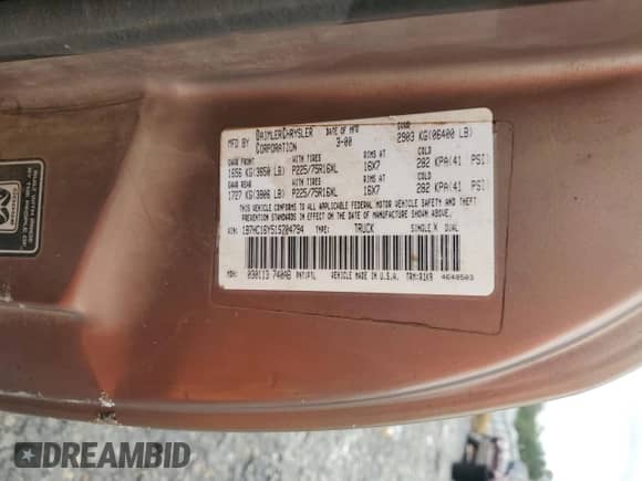 2001 Dodge 1500 with VIN 1B7HC16Y51S704794, listed as a Copart auction lot 73159054 with 305,722 mi miles and Salvage title. Bid and sale history available at DreamBid. Image 12.