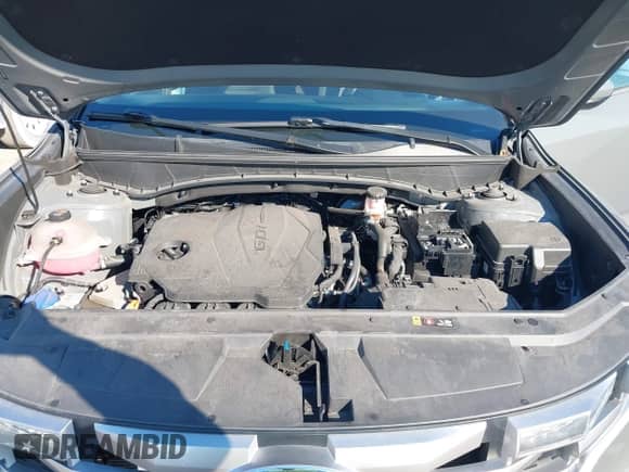 2022 Hyundai Santa Cruz SE с VIN 5NTJA4AE1NH008896, выставлен на аукционе IAAI как лот 41444400 с пробегом 23 547 миль миль и . История ставок и продаж доступна на DreamBid. Изображение 10.