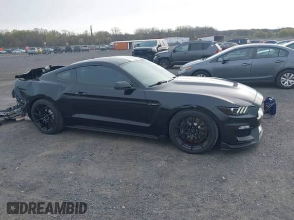 2016 Ford Mustang Shelby GT350 с VIN 1FA6P8JZ9G5525160, выставлен на аукционе IAAI как лот 41976432 с пробегом 27 273 миль миль и . История ставок и продаж доступна на DreamBid. Изображение 13.