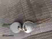 2008 Dodge 1500 ST z VIN 1D7HA18K08J139956, wystawiony jako IAAI lot #42314710 z przebiegiem 171 082 mil mil oraz . Historia ofert i sprzedaży dostępna na DreamBid. Obrazek 11.