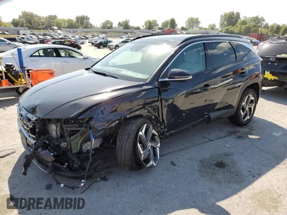 2024 Hyundai Tucson Limited with VIN KM8JECD15RU139746, listed as a Copart auction lot 81848805 with Not provided miles and Salvage title. Bid and sale history available at DreamBid. Image 1.