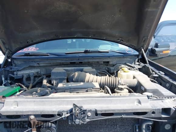 2014 Ford F-150 XLT with VIN 1FTFW1E64EFD14542, listed as a IAAI auction lot 43034880 with 197,620 mi miles and . Bid and sale history available at DreamBid. Image 10.