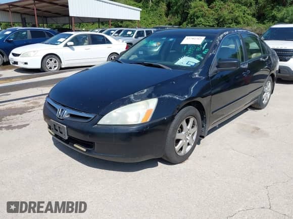 2005 Honda Accord EX-L с VIN 1HGCM66555A059037, выставлен на аукционе IAAI как лот 42702765 с пробегом 252 538 миль миль и . История ставок и продаж доступна на DreamBid. Изображение 2.