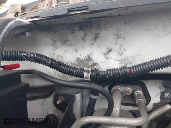 2012 Cadillac Escalade Luxury с VIN 1GYS4BEF4CR120481, выставлен на аукционе IAAI как лот 42423588 с пробегом Не указан миль и . История ставок и продаж доступна на DreamBid. Изображение 20.