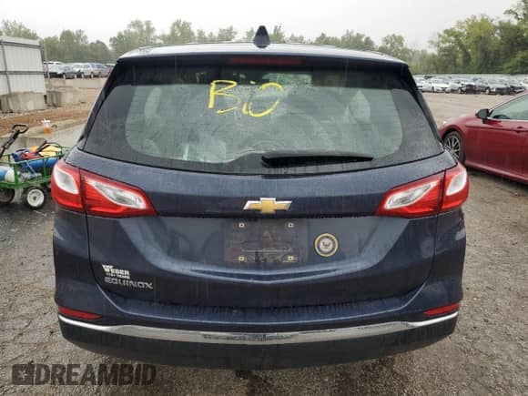 2018 Chevrolet Equinox LS with VIN 3GNAXHEV6JS540439, listed as a Copart auction lot 81704595 with Not provided miles and Salvage title. Bid and sale history available at DreamBid. Image 6.