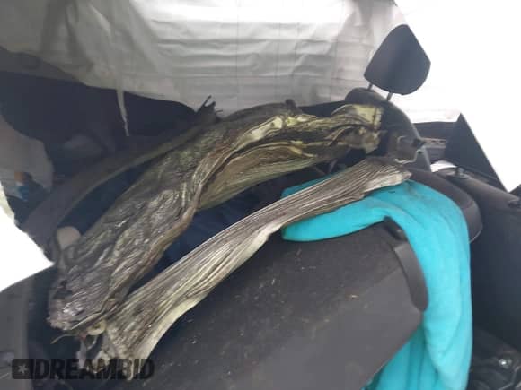 2021 Volkswagen Tiguan SE with VIN 3VV3B7AX5MM048223, listed as a IAAI auction lot 43028350 with Not provided miles and . Bid and sale history available at DreamBid. Image 8.