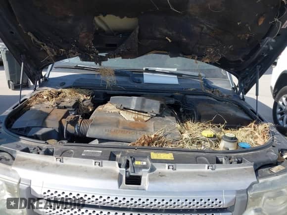 2009 Land Rover Range Rover Sport SC z VIN SALSH23469A190639, wystawiony jako IAAI lot #43485987 z przebiegiem 188 764 mil mil oraz . Historia ofert i sprzedaży dostępna na DreamBid. Obrazek 10.