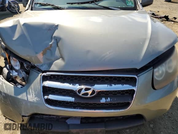 2007 Hyundai Santa Fe GLS с VIN 5NMSG13D07H098854, выставлен на аукционе Copart как лот 71912425 с пробегом 226 342 миль миль и Списание • Salvage title. История ставок и продаж доступна на DreamBid. Изображение 12.