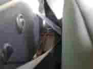 2019 Ram 1500 Express with VIN 3C6JR6AT5KG719207, listed as a Copart auction lot 49677615 with 72,644 mi miles and Salvage title. Bid and sale history available at DreamBid. Image 11.