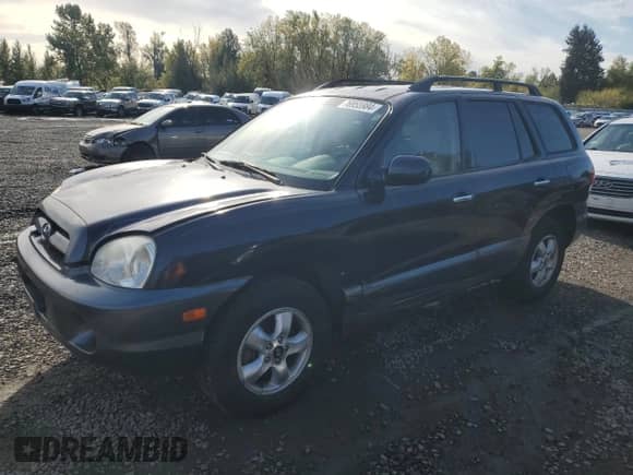 2005 Hyundai Santa Fe GLS с VIN KM8SC73E95U936274, выставлен на аукционе Copart как лот 76955984 с пробегом 166 437 миль миль и Списание • Salvage title. История ставок и продаж доступна на DreamBid. Изображение 1.