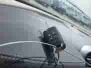 2015 Chevrolet Malibu LT with VIN 1G11C5SL2FF316787, listed as a IAAI auction lot 42870826 with 186,068 mi miles and . Bid and sale history available at DreamBid. Image 11.