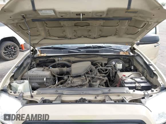 2019 Toyota Tacoma SR с VIN 5TFRX5GN7KX139358, выставлен на аукционе IAAI как лот 43411142 с пробегом 83 930 миль миль и . История ставок и продаж доступна на DreamBid. Изображение 10.